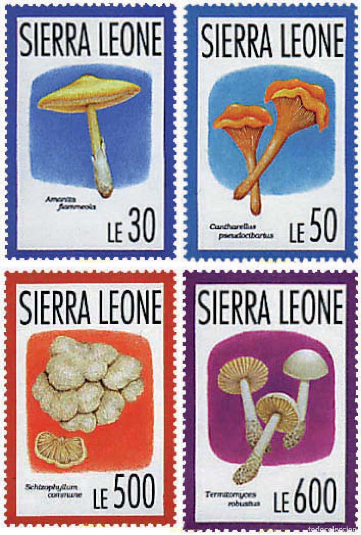 Sellos: 241779 MNH SIERRA LEONA 1993 SETAS