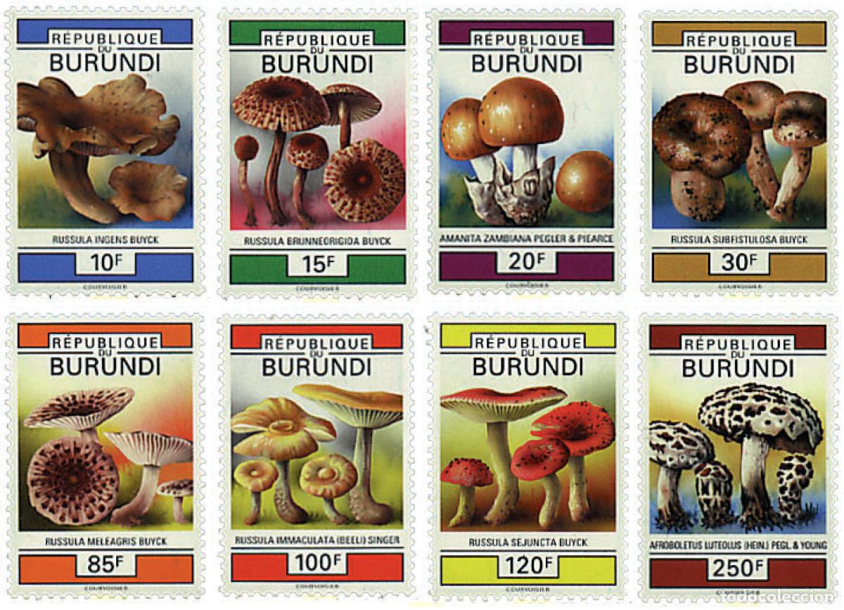 Sellos: 580716 MNH BURUNDI 1992 SETAS