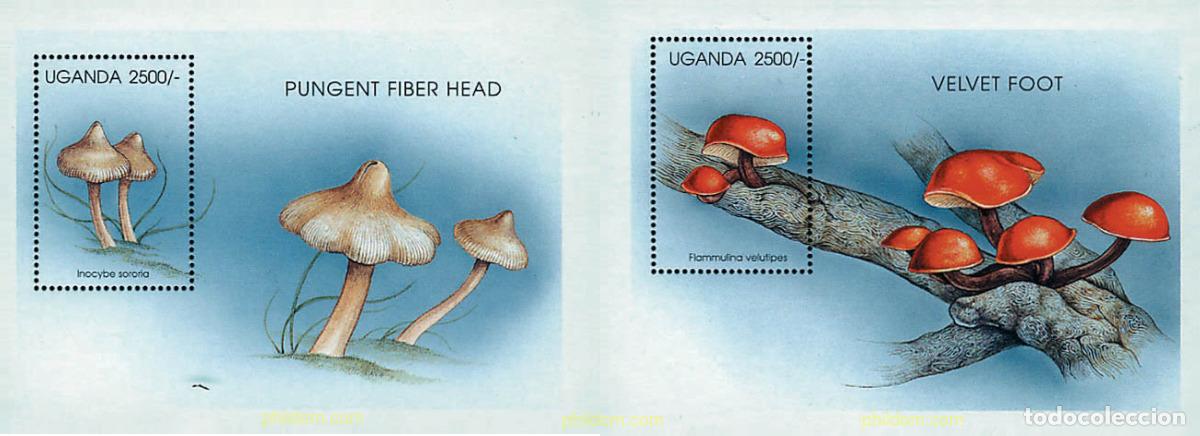 Sellos: 34679 MNH UGANDA 1996 SETAS