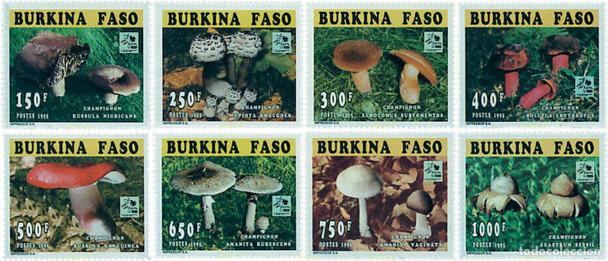 Sellos: 75328 MNH BURKINA FASO 1996 18 JAMBOREE MUNDIAL EN HOLANDA
