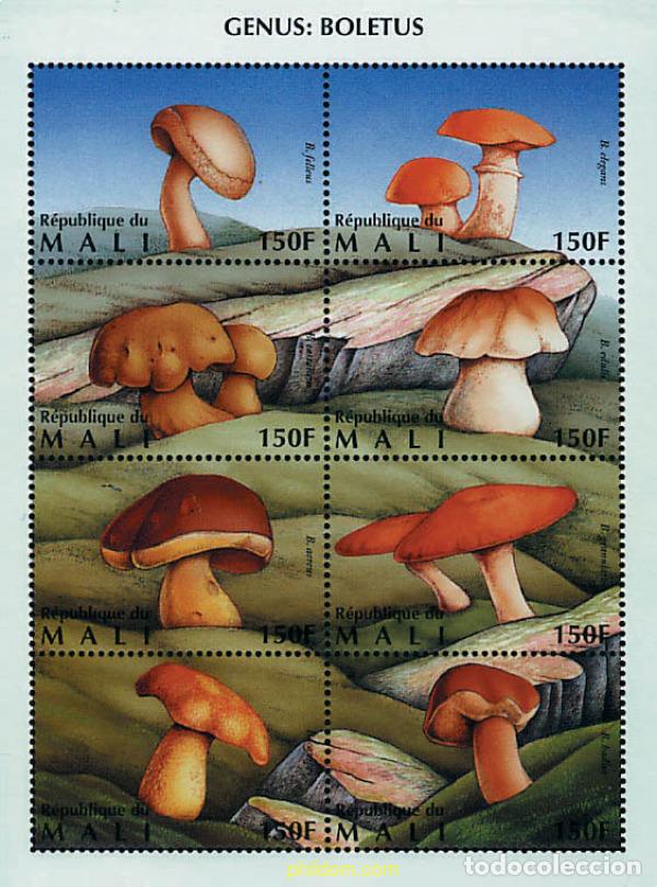 Sellos: 277602 MNH MALI 1996 SETAS