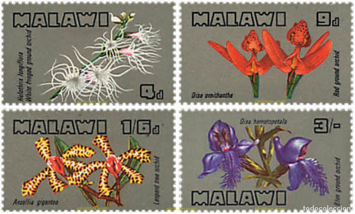 Sellos: 95242 MNH MALAWI 1969 ORQUIDEAS