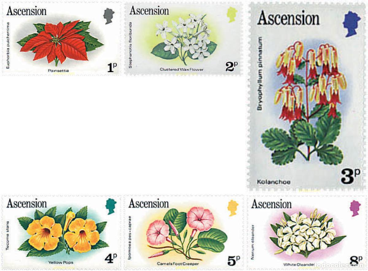Sellos: 232390 MNH ASCENSION 1981 FLORES