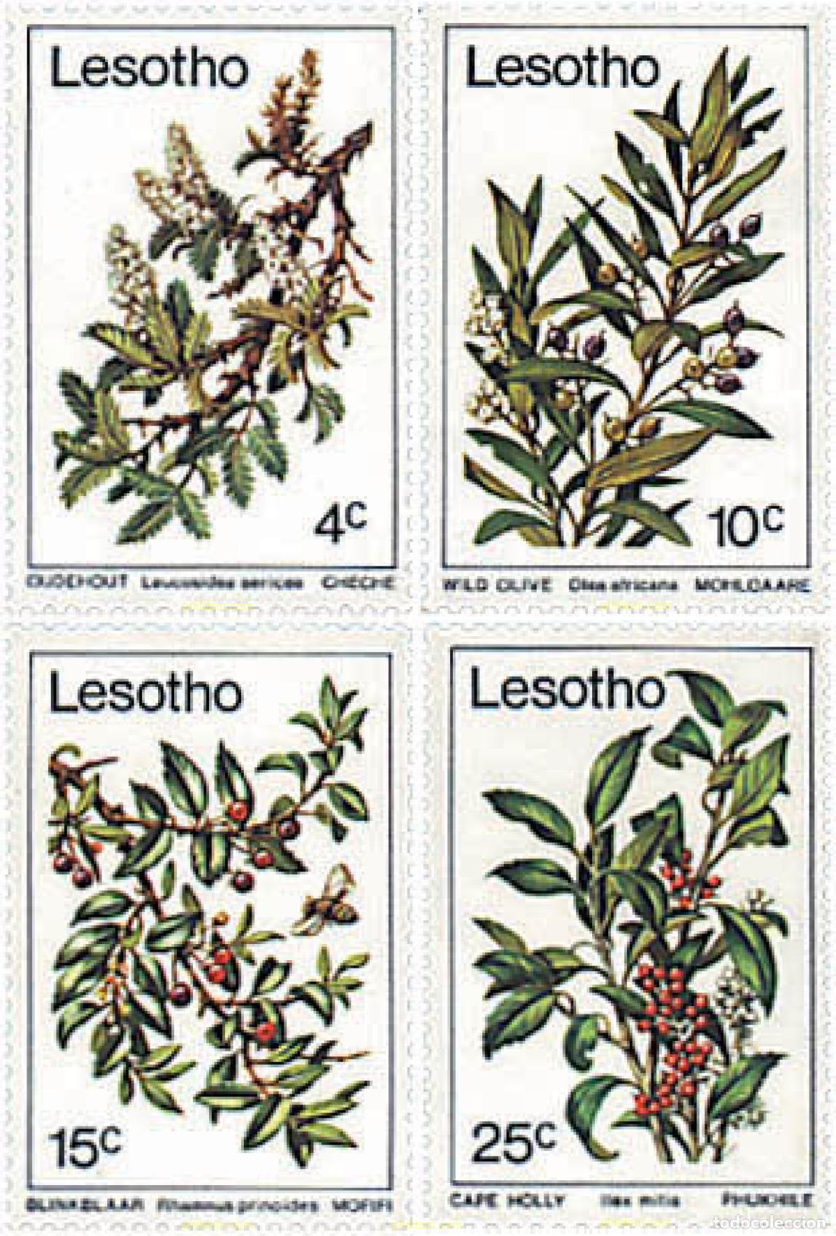 Sellos: 96436 MNH LESOTHO 1979 FLORES
