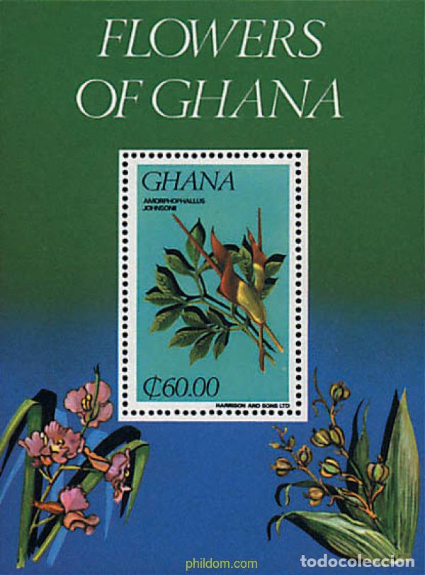 Sellos: 91137 MNH GHANA 1984 FLORES DE GHANA