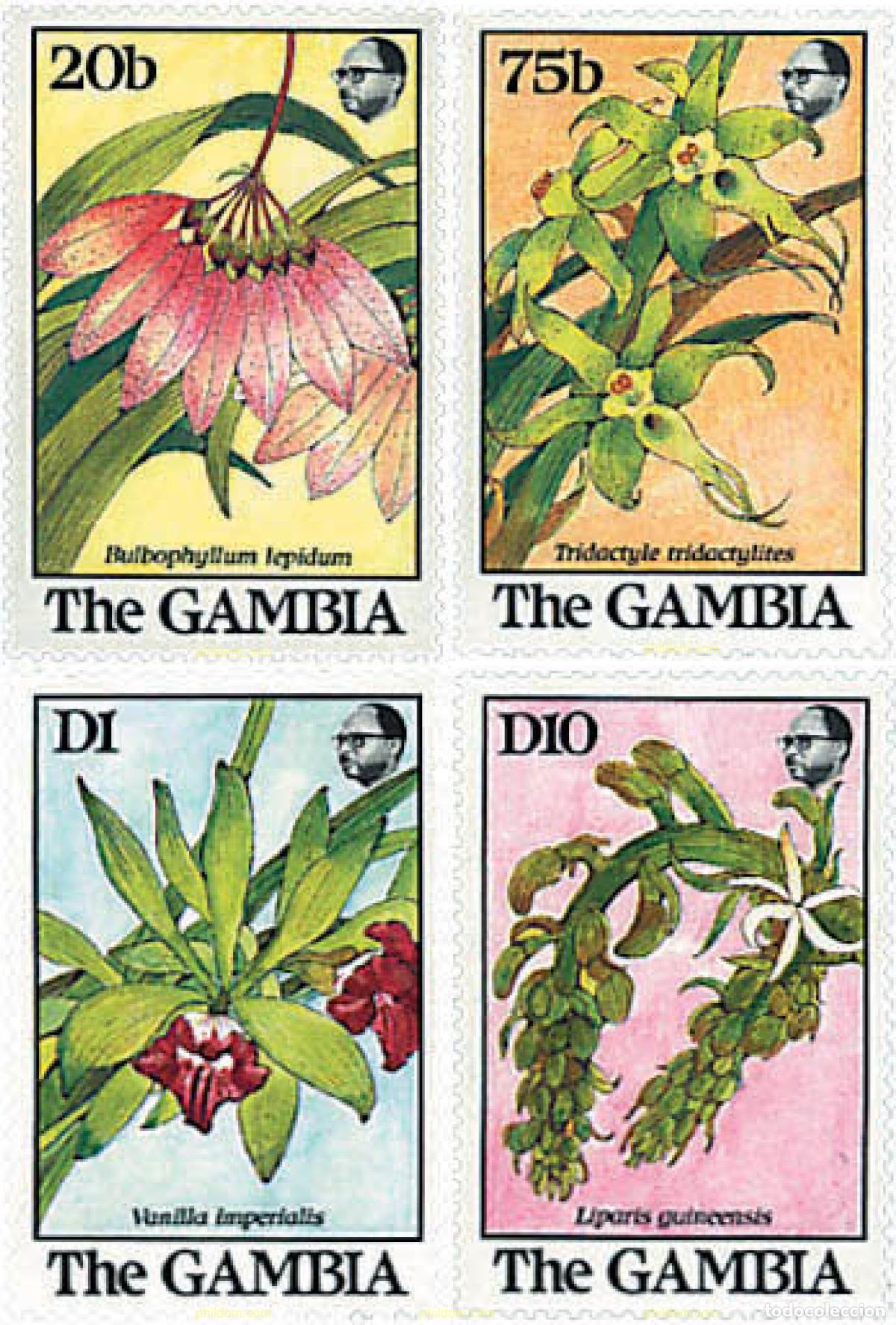 Sellos: 294658 MNH GAMBIA 1989 ORQUIDEAS