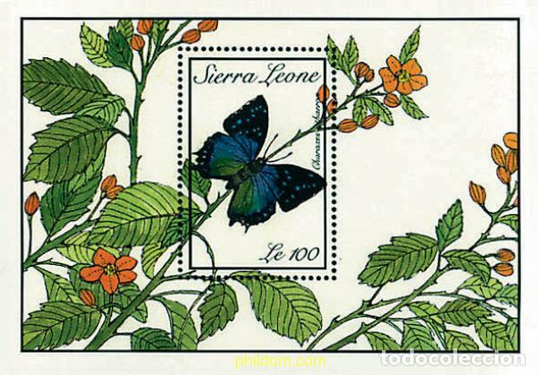 Sellos: 241820 MNH SIERRA LEONA 1989 MARIPOSAS