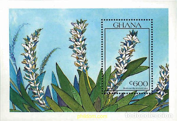 Sellos: 317345 MNH GHANA 1990 ORQUIDEAS
