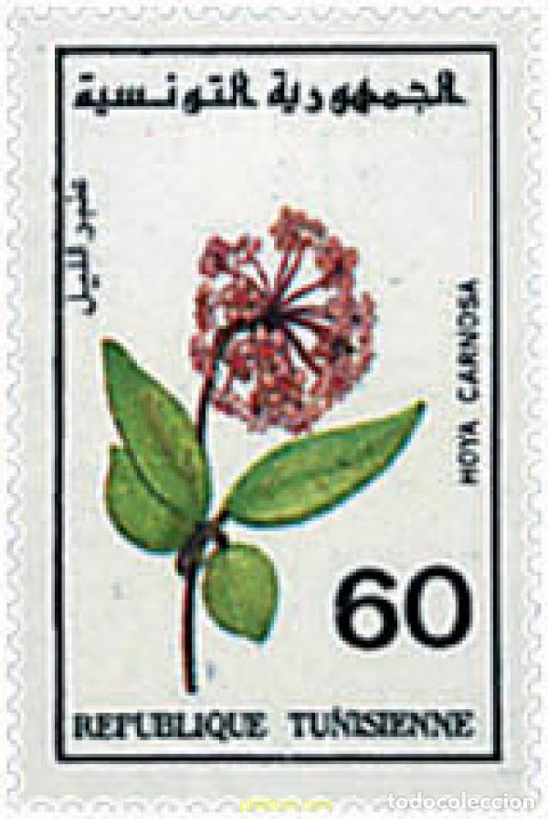 Sellos: 302996 MNH TUNEZ 1993 FAUNA Y FLORA
