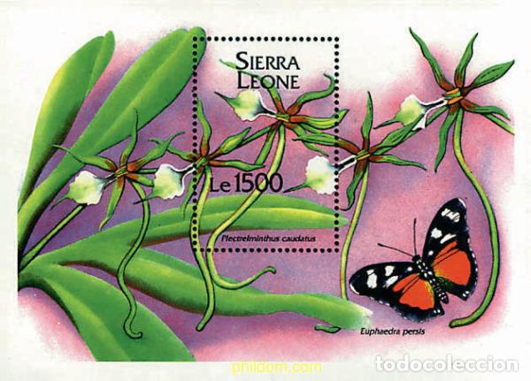 Sellos: 362228 MNH SIERRA LEONA 1994 ORQUIDEAS