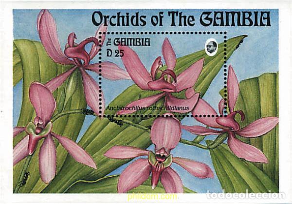 Sellos: 316910 MNH GAMBIA 1994 ORQUIDEAS DE GAMBIA