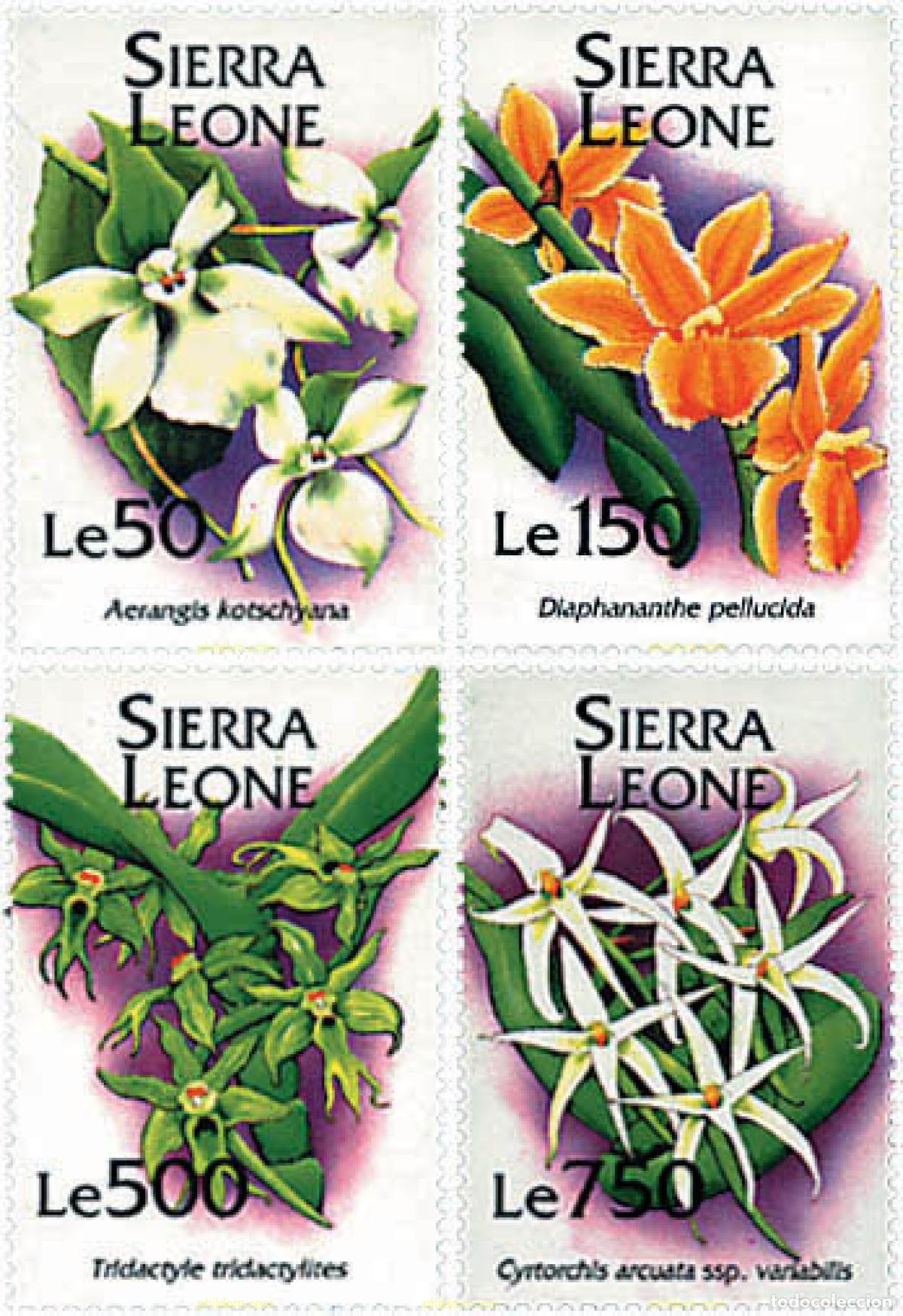 Sellos: 362231 MNH SIERRA LEONA 1994 ORQUIDEAS