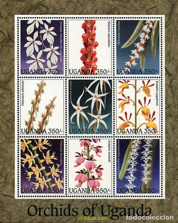 Sellos: 1384 MNH UGANDA 1995 ORQUIDEAS