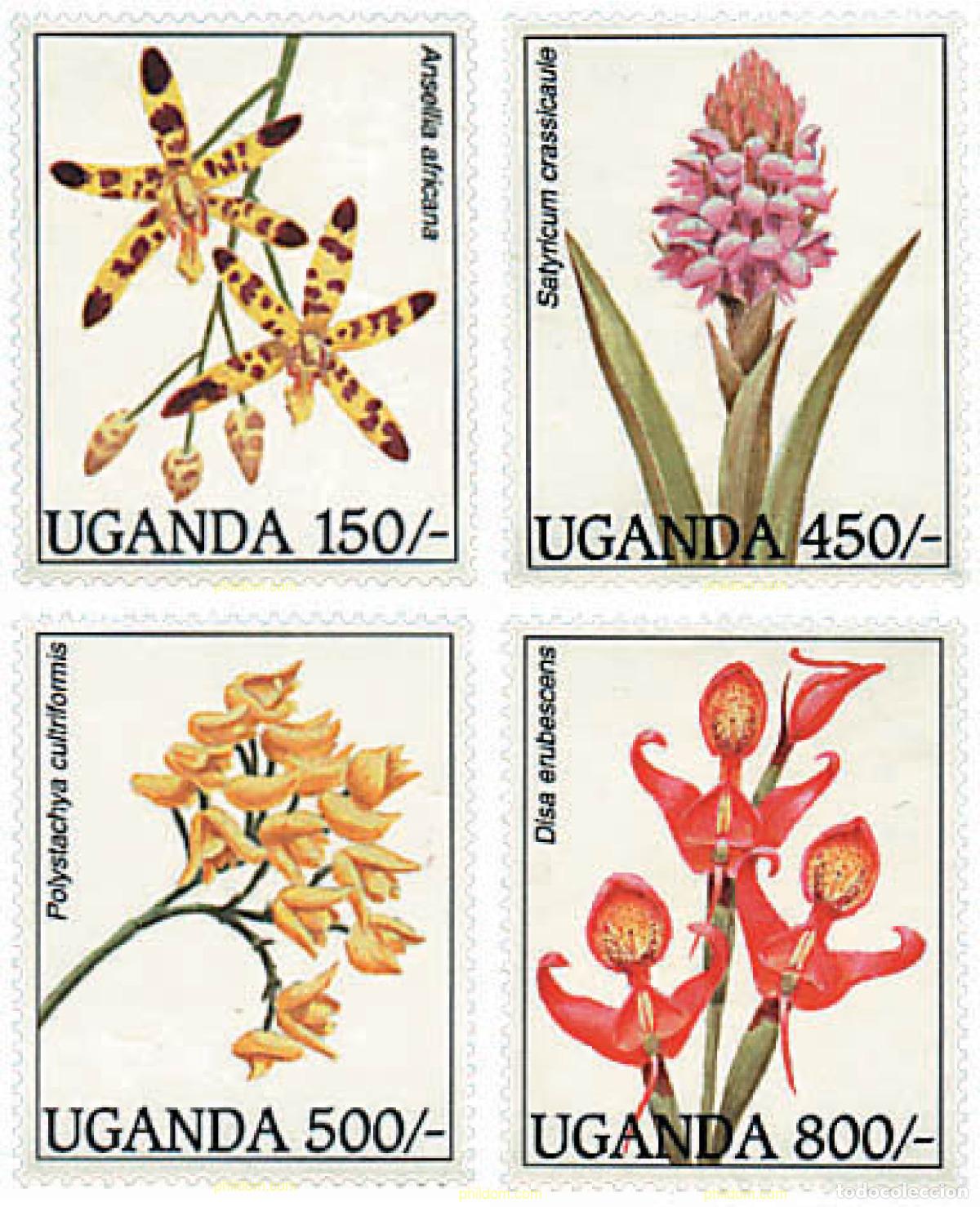 Sellos: 292105 MNH UGANDA 1995 ORQUIDEAS