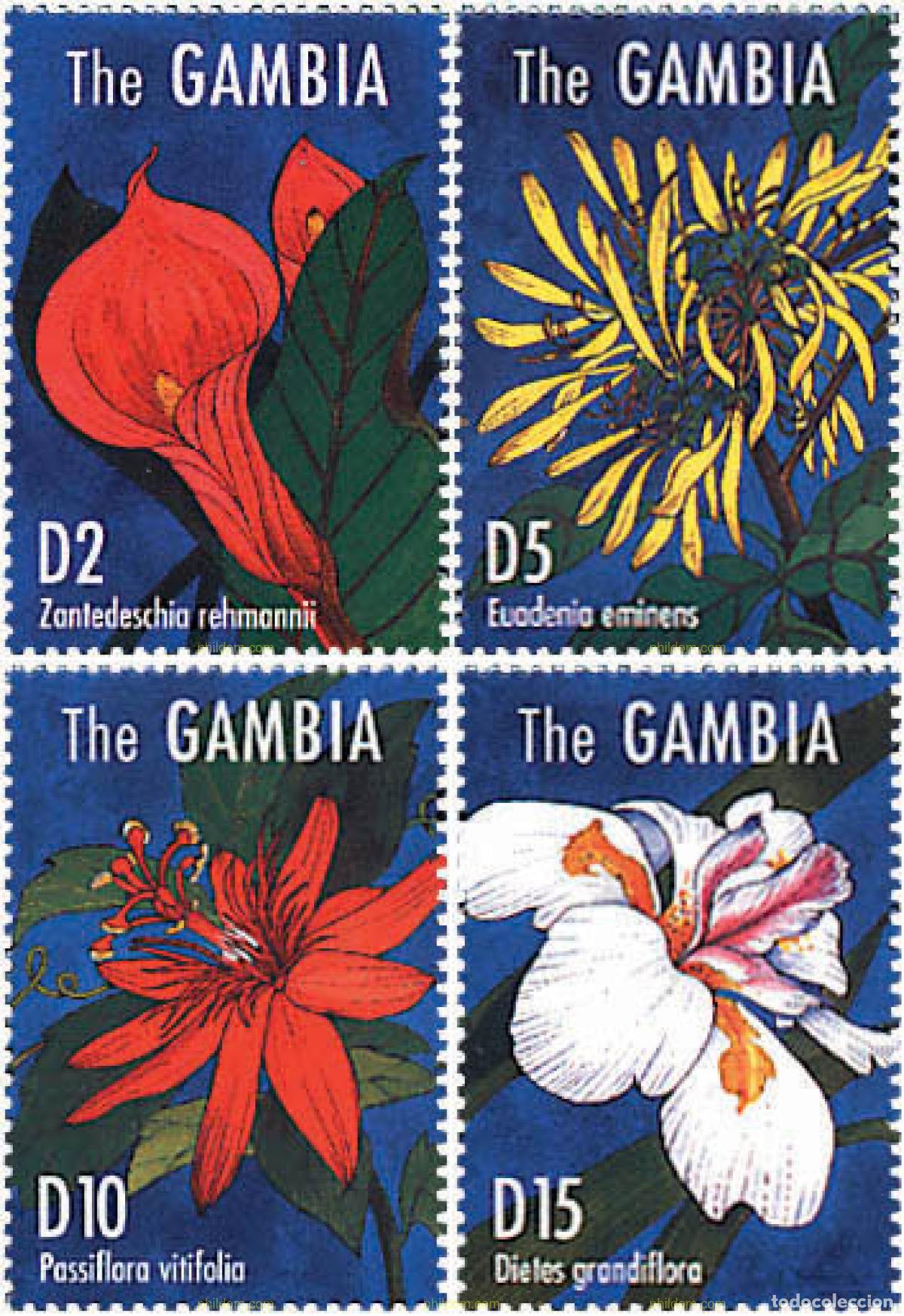 Sellos: 211115 MNH GAMBIA 1995 FLORES AFRICANAS