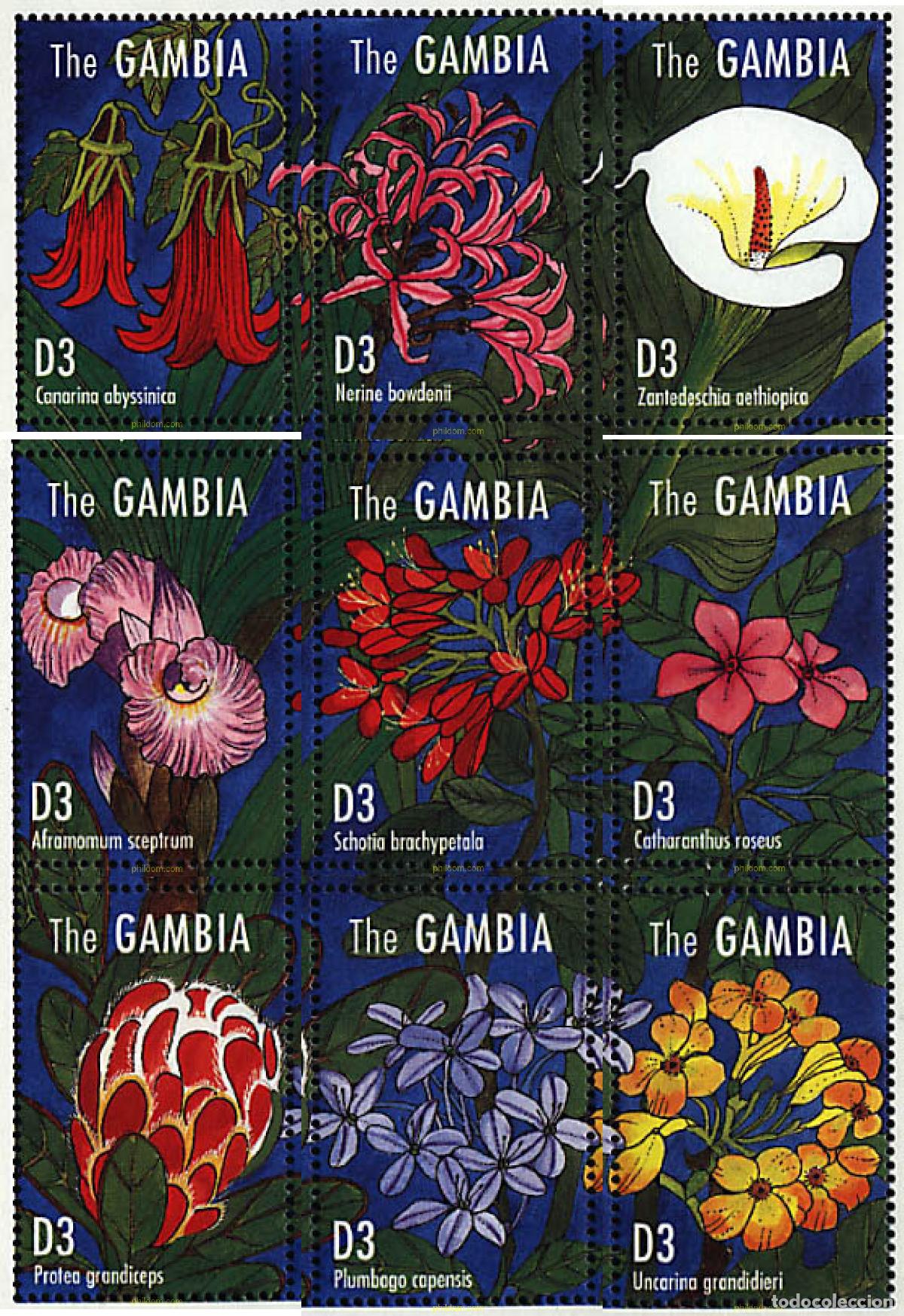 Sellos: 316980 MNH GAMBIA 1995 FLORES AFRICANAS