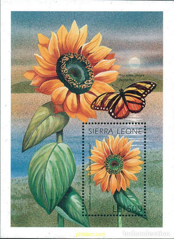 Sellos: 362270 MNH SIERRA LEONA 1996 FLORES DE SIERRA LEONA