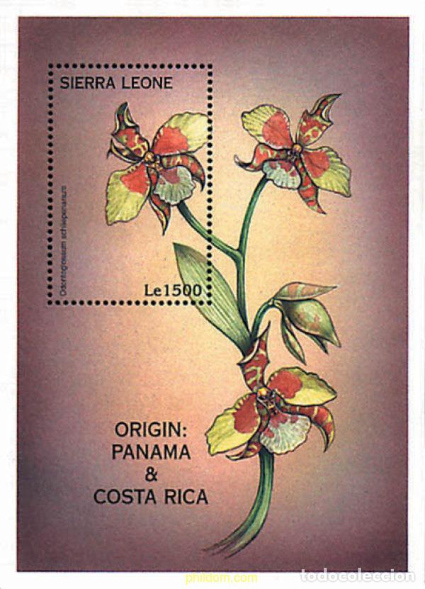 Sellos: 362282 MNH SIERRA LEONA 1997 ORQUIDEAS DEL MUNDO