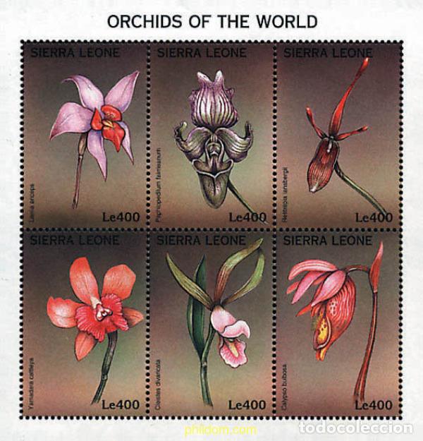 Sellos: 240918 MNH SIERRA LEONA 1997 ORQUIDEAS DEL MUNDO