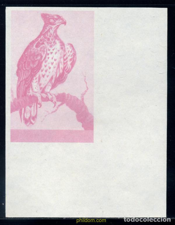 Sellos: 270195 MNH BURUNDI 1965 AVES