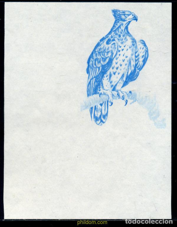 Sellos: 270196 MNH BURUNDI 1965 AVES