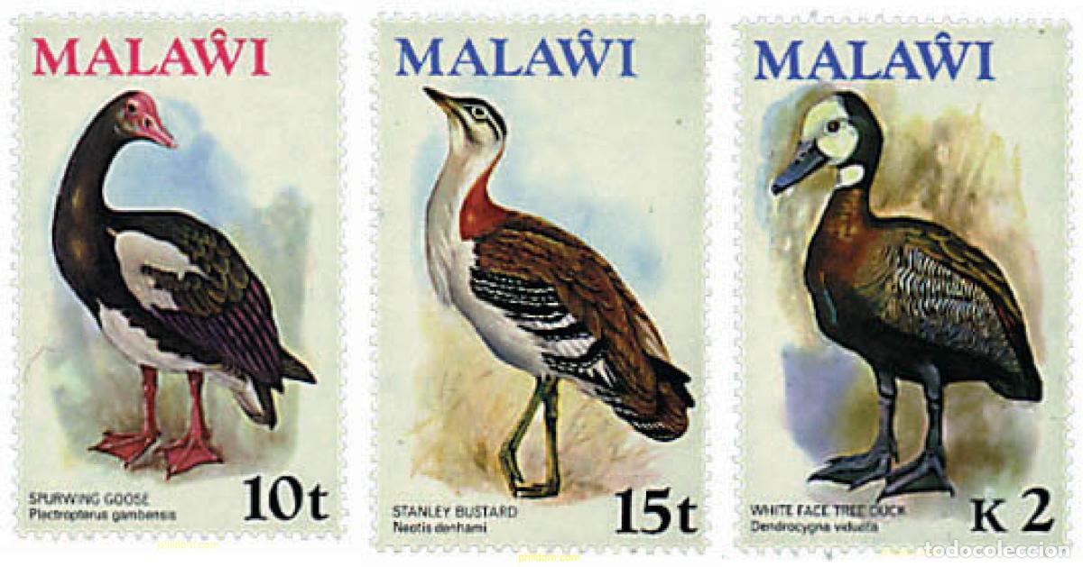 Sellos: 340279 MNH MALAWI 1975 MOTIVOS VARIOS