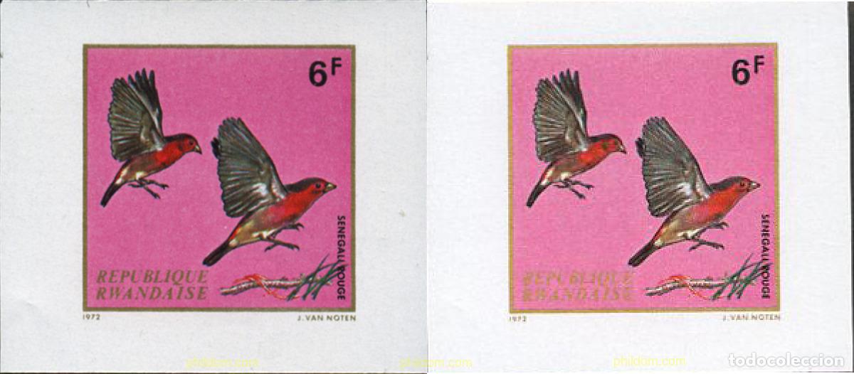 Sellos: 221829 MNH RUANDA 1972 AVES