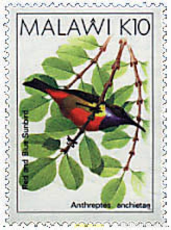 Sellos: 340435 MNH MALAWI 1988 AVES