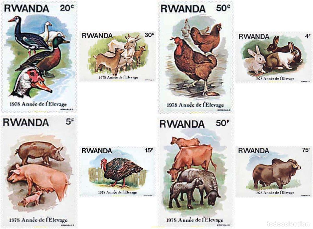 Sellos: 32204 MNH RUANDA 1978 A&Ntilde;O NACIONAL DE LA GANADERIA