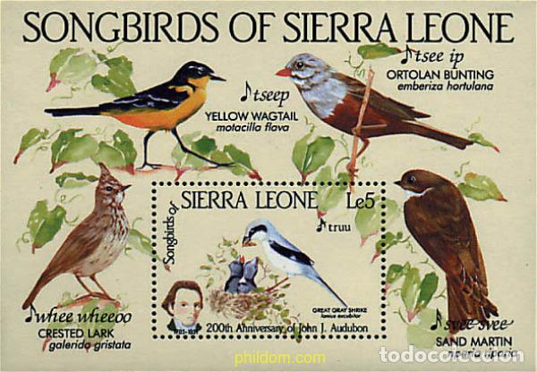 Sellos: 32093 MNH SIERRA LEONA 1985 BICENTENARIO DEL NACIMIENTO DEL ORNITOLOGO J.J. AUDUBON
