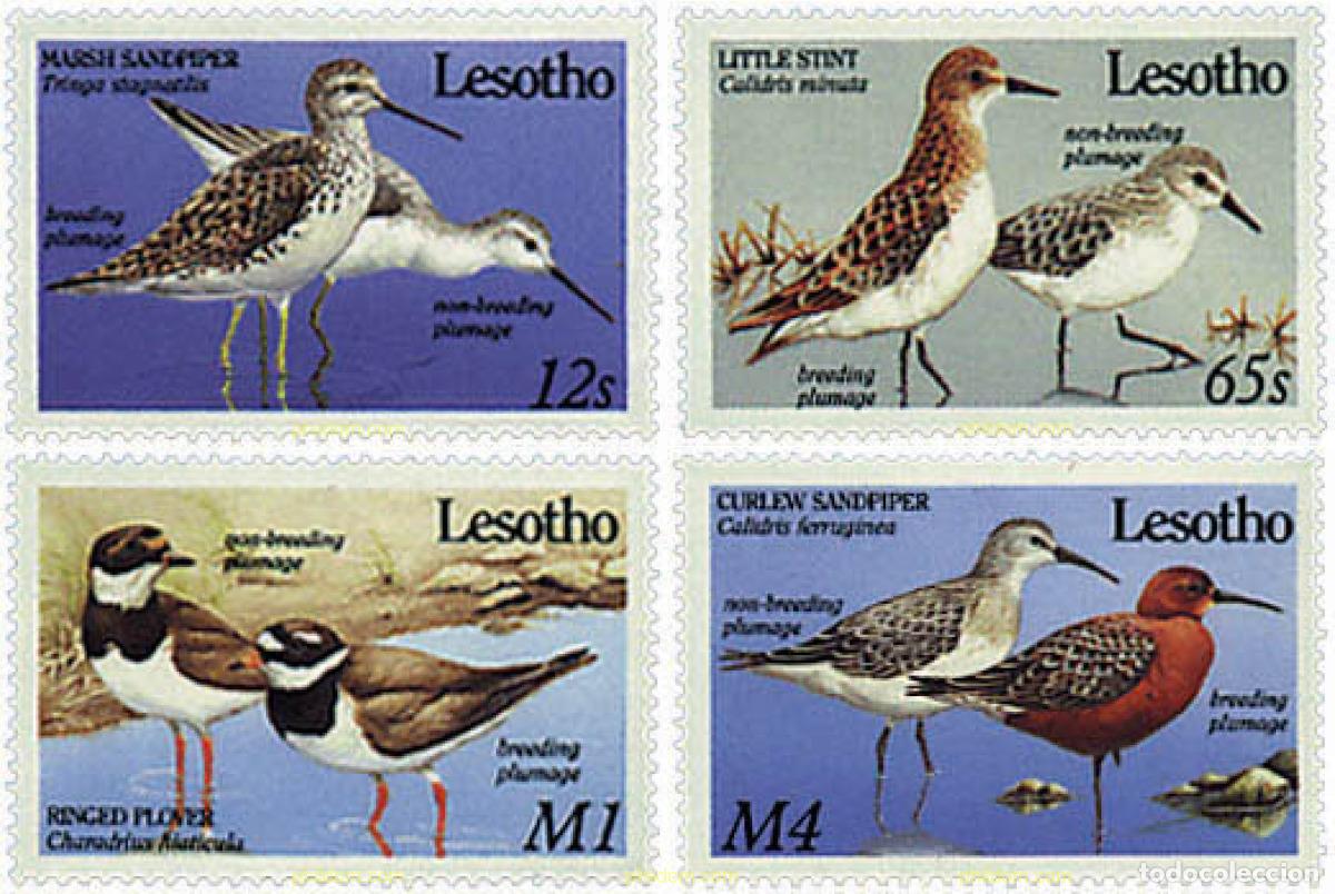 Sellos: 31547 MNH LESOTHO 1989 FAUNA