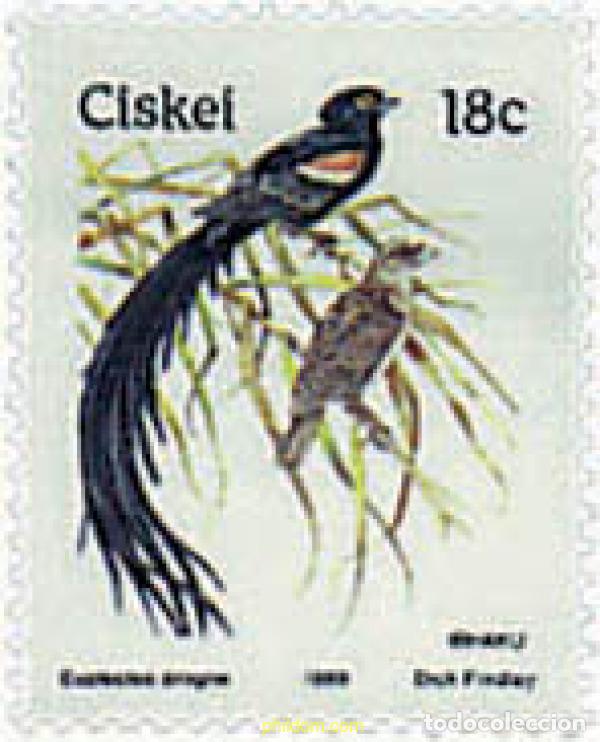 Sellos: 34044 MNH CISKEI 1989 PAJARO