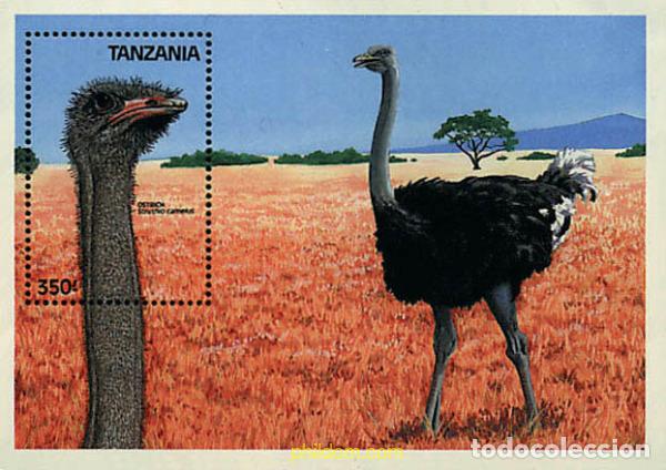Sellos: 572633 MNH TANZANIA 1989 PAJAROS DE TANZANIA