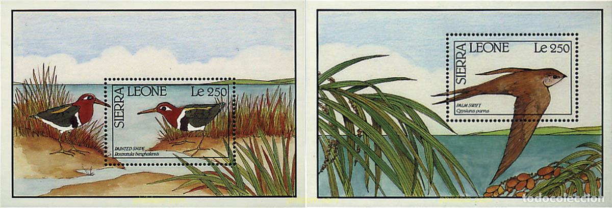 Sellos: 35872 MNH SIERRA LEONA 1990 AVES