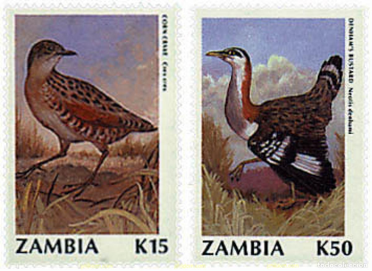 Sellos: 667713 MNH ZAMBIA 1990 AVES