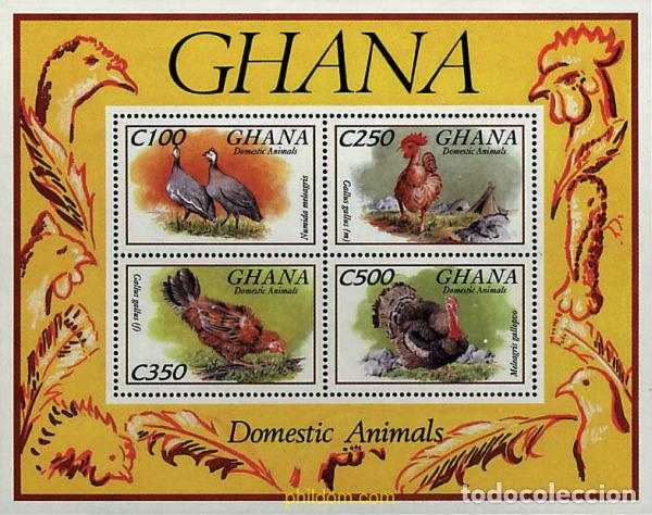 Sellos: 253962 MNH GHANA 1993 FAUNA DOMESTICA