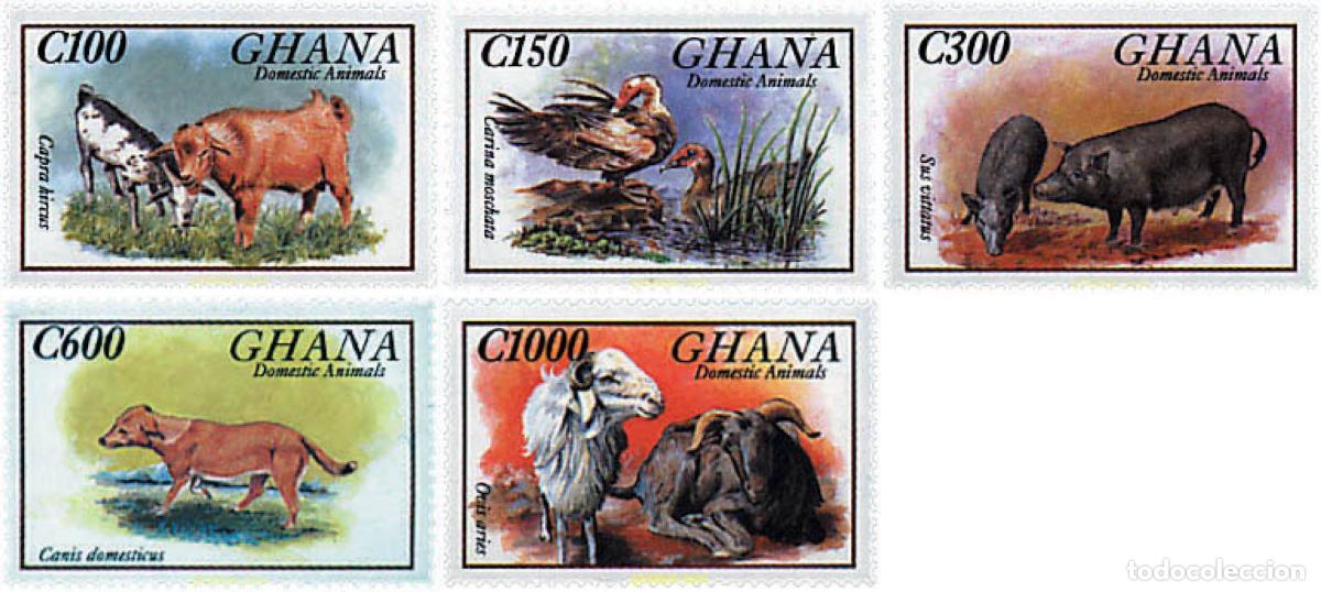 Sellos: 317475 MNH GHANA 1993 FAUNA DOMESTICA