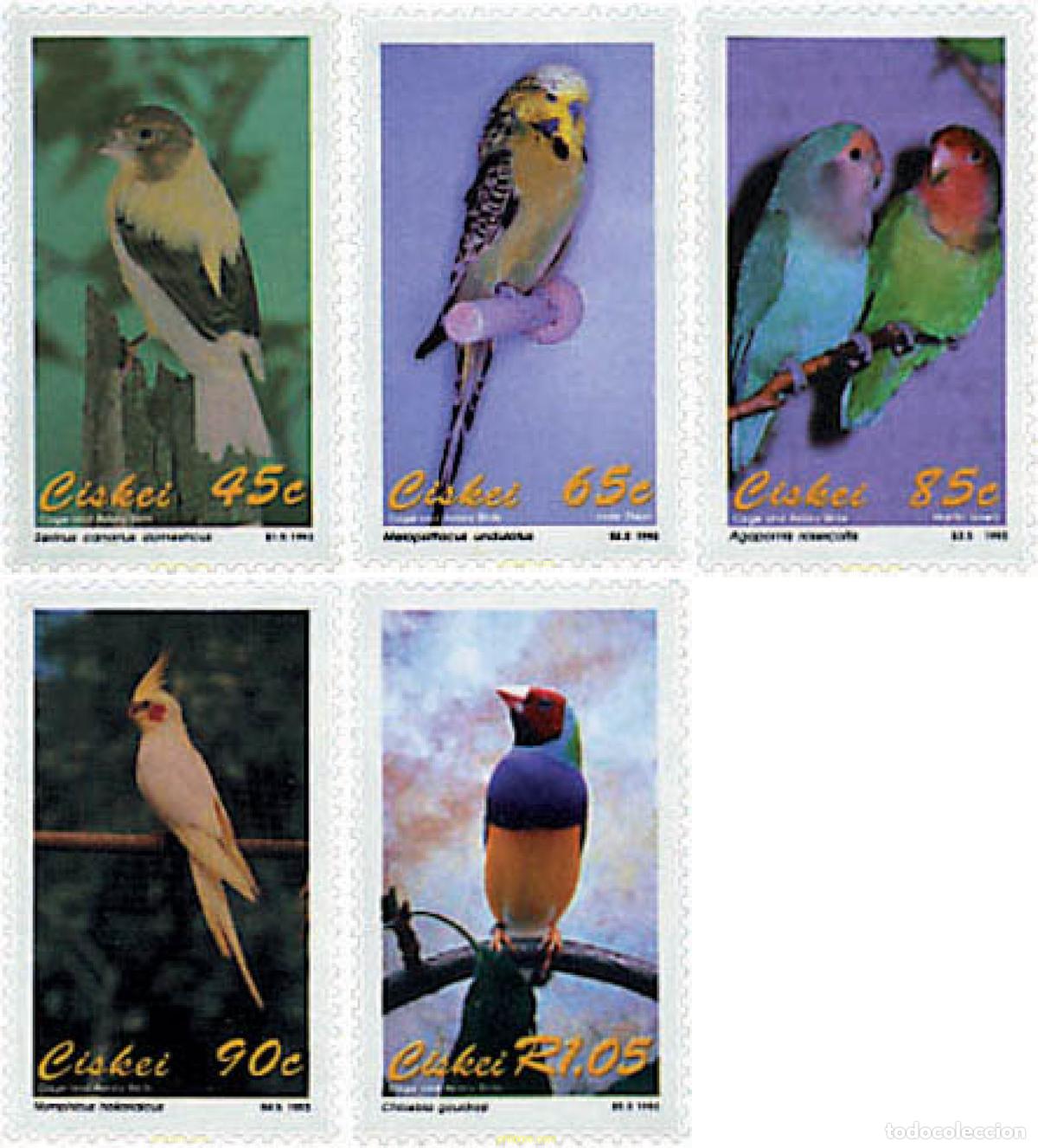 Sellos: 32819 MNH CISKEI 1993 AVES