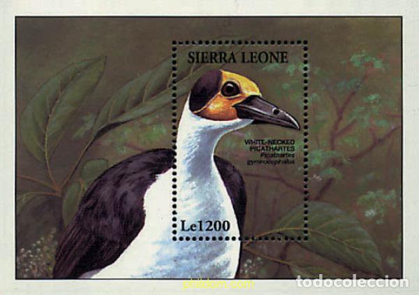 Sellos: 362229 MNH SIERRA LEONA 1994 PROTECCION DE LA NATURALEZA