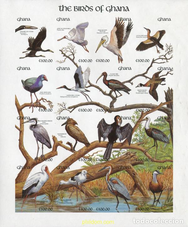 Sellos: 639206 MNH GHANA 1991 AVES
