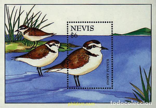 Sellos: 676438 MNH NEVIS 1995 AVES ACUATICAS