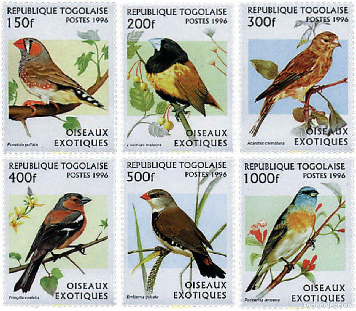 Sellos: 33089 MNH TOGO 1996 PAJAROS EXOTICOS