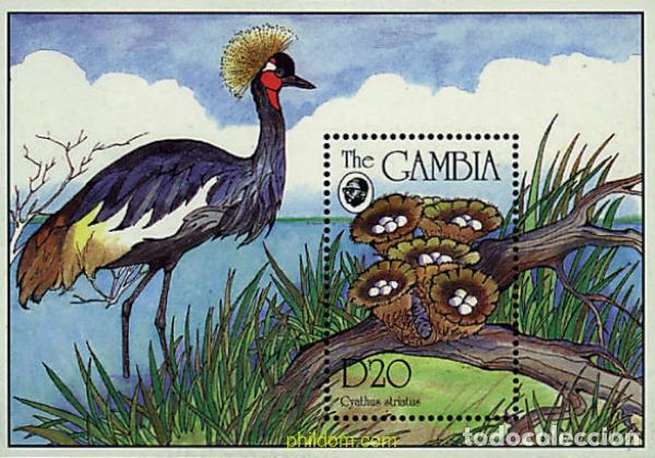 Sellos: 211155 MNH GAMBIA 1994 SETAS
