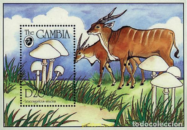 Sellos: 316918 MNH GAMBIA 1994 SETAS