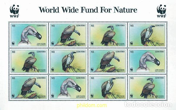 Sellos: 12687 MNH LESOTHO 1998 BUITRE DE EL CABO