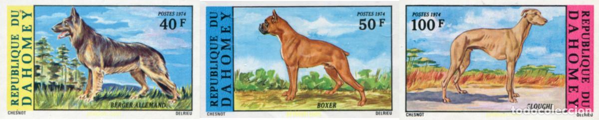 Sellos: 193496 MNH DAHOMEY 1974 PERROS DE RAZA
