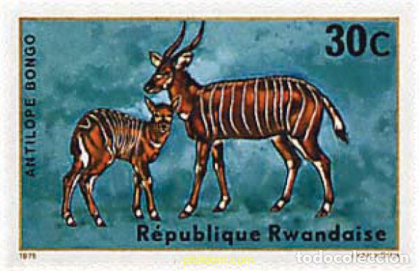 Sellos: 222010 MNH RUANDA 1975 ANTILOPES