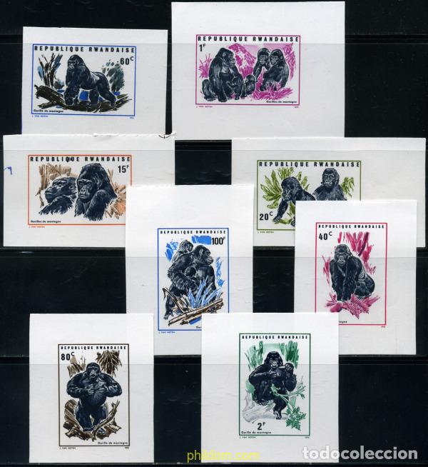 Sellos: 221416 MNH RUANDA 1970 GORILAS