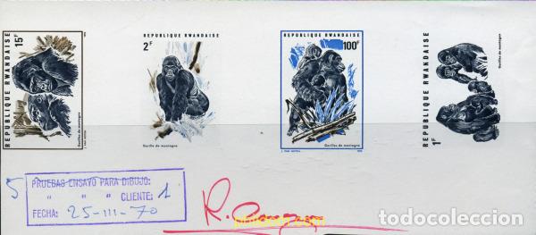 Sellos: 221446 MNH RUANDA 1970 GORILAS