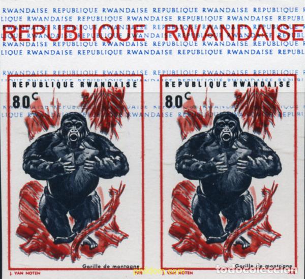 Sellos: 221447 MNH RUANDA 1970 GORILAS